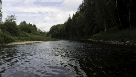 Similar image 22370118