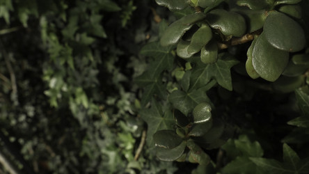 Similar image 22367280