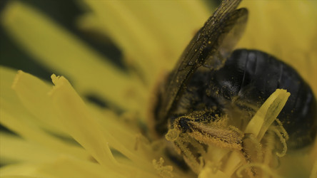 Similar image 22367720