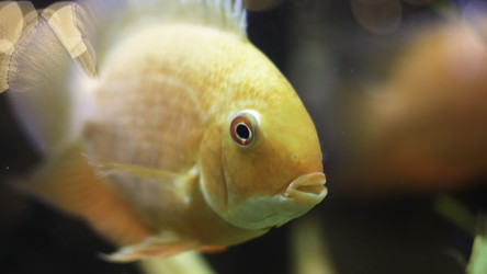 Similar image 22367924