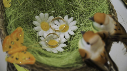 Similar image 22371139