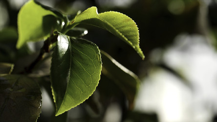 Similar image 22369060