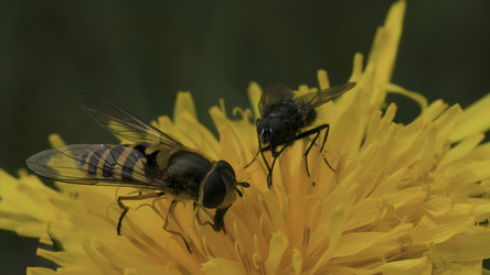 Similar image 22369121