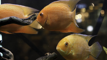 Similar image 22369181