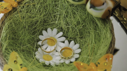 Similar image 22371334