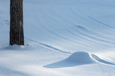 Similar image 22361481