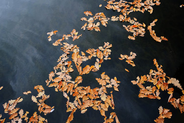 Similar image 22361482