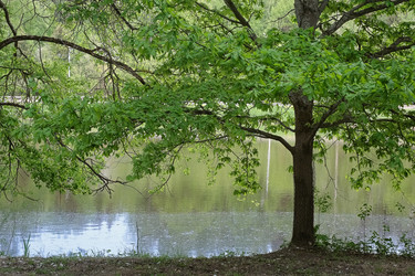 Similar image 22361512