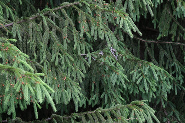 Similar image 22361525