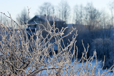 Similar image 22361541