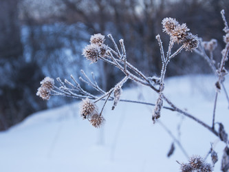 Similar image 22361556