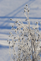 Similar image 22361571