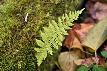 Similar image 22361632