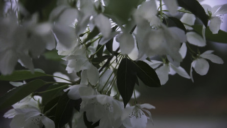 Similar image 22368400