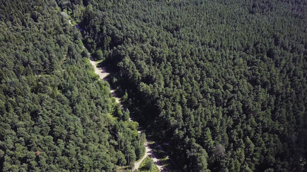 Similar image 22368461