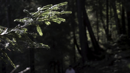 Similar image 22368597