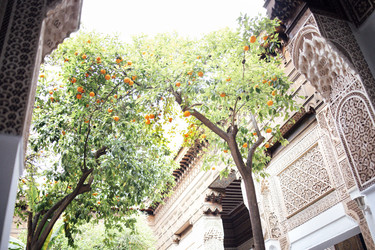 Similar image 22351175