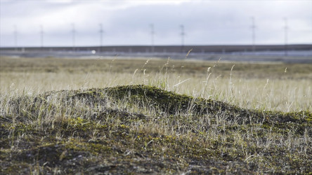 Similar image 22367155