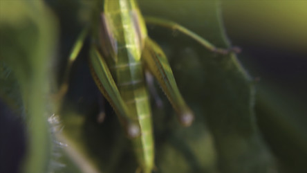 Similar image 22367180