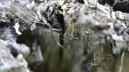 Similar image 22367196