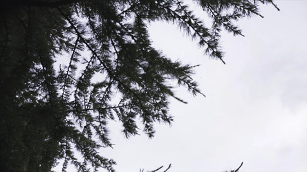 Similar image 22367319