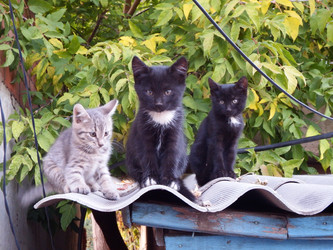 Similar image 22348593