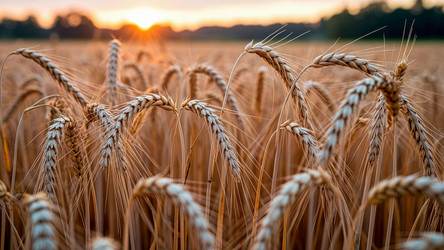 Similar image 22349155