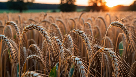 Similar image 22349158