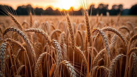 Similar image 22349160