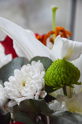 Similar image 22350702