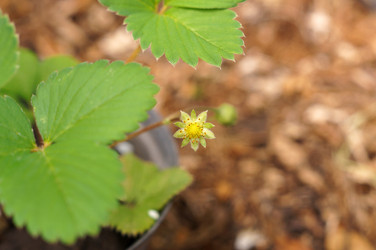 Similar image 22350942