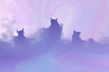 Similar image 22348966