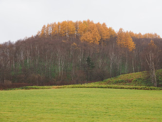 Similar image 22349181