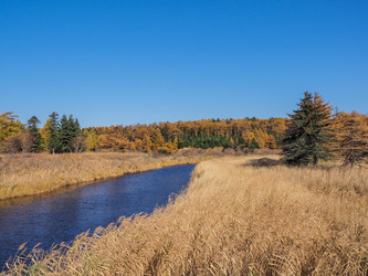 Similar image 22349184