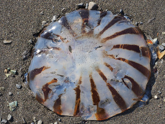 Similar image 22349186