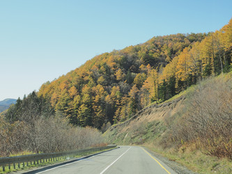 Similar image 22349208