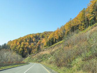 Similar image 22349209