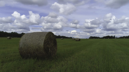 Similar image 22369455