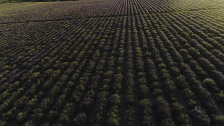 Similar image 22370344