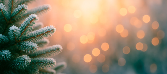 Similar image 22348804