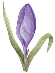 Similar image 22349016