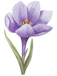 Similar image 22349017