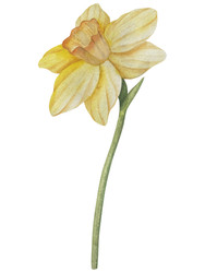 Similar image 22350158