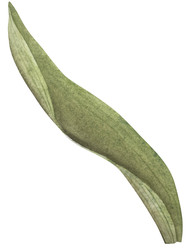 Similar image 22350443