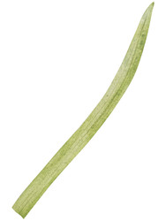 Similar image 22350445