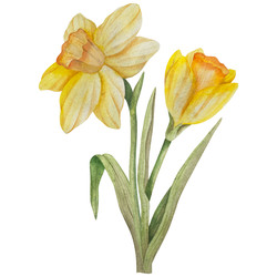 Similar image 22351118