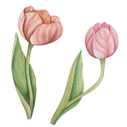 Similar image 22351773