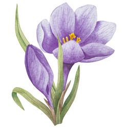 Similar image 22351774