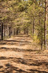 Similar image 22351125