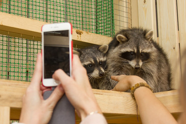 Similar image 22351128